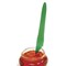 Norpro 6 Piece Canning Essentials Set - Includes Magnetic Lid Wand, Bubble Popper / Measurer, Jar Lid Opener, Jar Lifter, Tongs and Wide Mouth Funnel